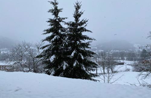 Ma Jolie Camyna - Foto 59