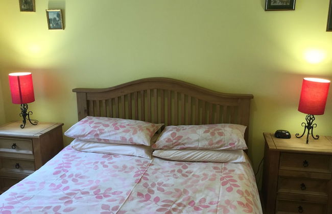 Inverness Apartments - Courtyard - Photo 3