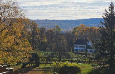 Vinewood Estate & Adventures - Foto 18