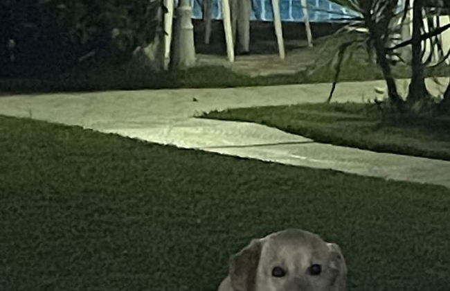 Belka Golf Residence - Foto 67