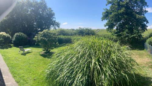 Ferienhaus Frische Brise direkt am Nordsee Deich - Foto 5, Garden, Garden view