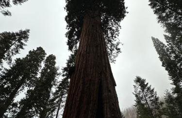 BunkHouse 1960's Camp Vibe with Timeless Wet Bar - Foto 78