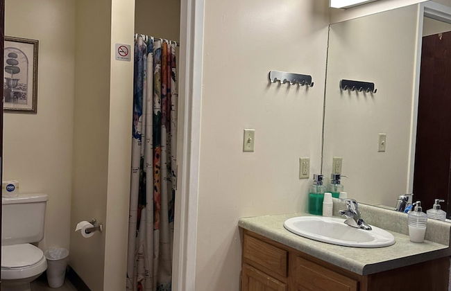 Downtown Apt Walk to PPG Conv Center More - Foto 8