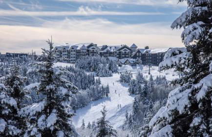 Snowshoe Ski-in & Ski-out at Silvercreek Resort - Family friendly, jacuzzi, hot tub, mountain views - Foto 11