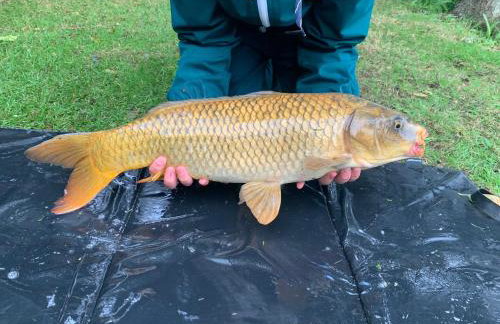 Cornish Crantock Holiday Sandy Toes - Foto 14