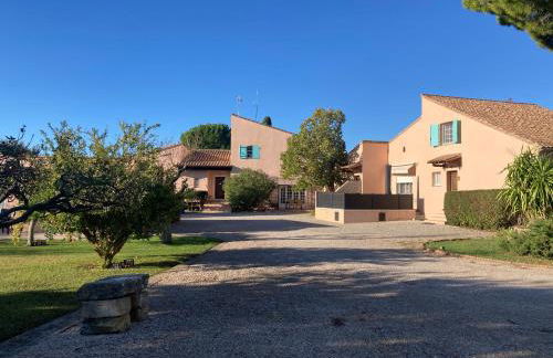 Les Bougainvillées de Camargue - Photo 61