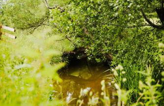 Worfe View Cottage - Foto 21