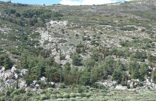 Unique Apartment'KONAKI' - Foto 2