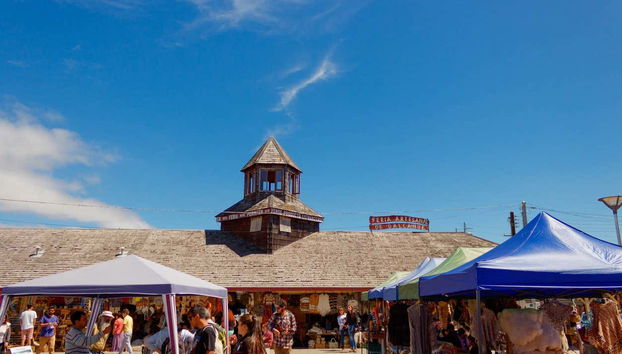 Percorrendo Dalcahue