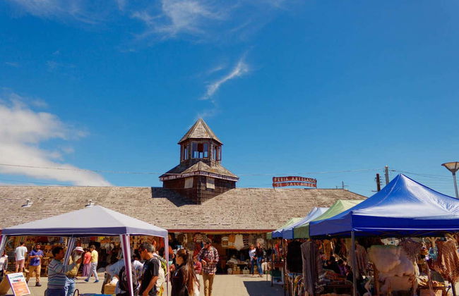 Excursão a Chiloé: Quemchi, Dalcahue e Castro - Foto 2