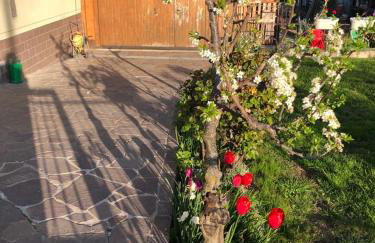 Appartamento luminoso, giardino, vista Dolomiti. - Foto 26