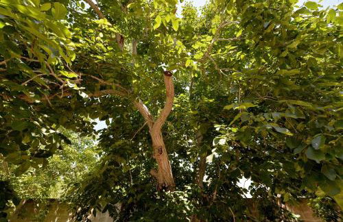 Agriturismo Santa Chiara - Foto 95