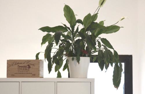 PLAISANCE Bouguenais - Appartement Nantes - PARKING GRATUIT - Foto 12