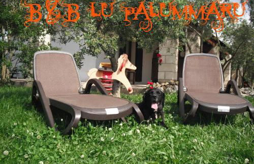 B&B Lu Palummaru - Foto 26