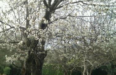 Puerto Roque Turismo Rural - Foto 13