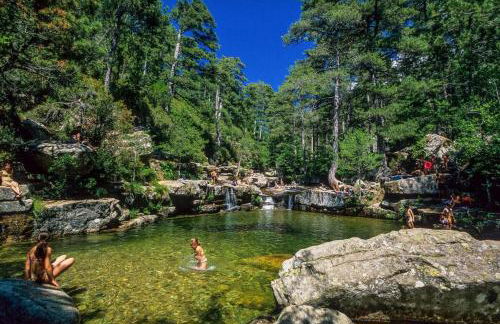 Logement 5 mn de la mer Milla 2 - Foto 22