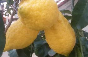 Appartamento del conte - Foto 22