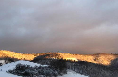 Maison pittoresque à Sainte-Croix-aux-Mines, vue sur la montagne - Foto 74