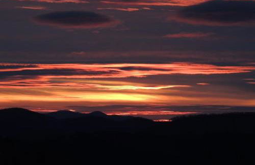 Stress ReLeaf - Foto 40