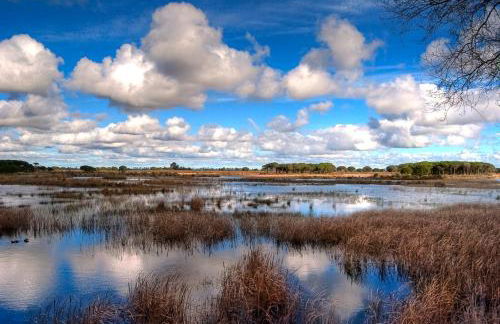 Private pool on the beach - Wi-Fi - Doñana - Foto 40