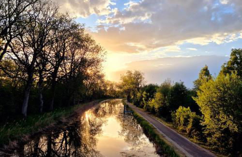 La Planchotte - Foto 18