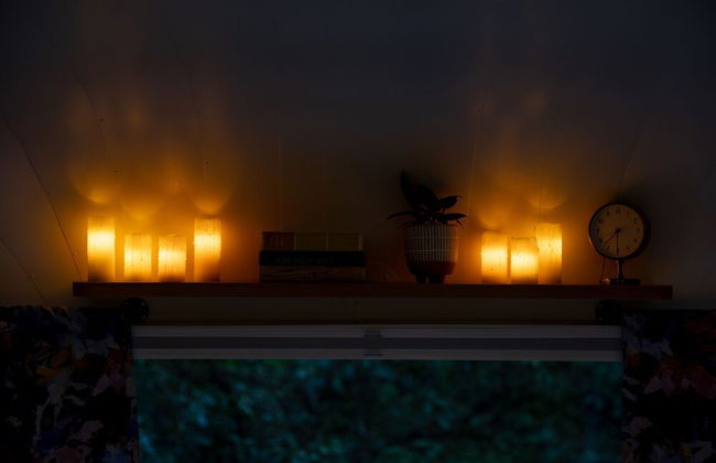 Creekside Fern in Pisgah Forest - Foto 45