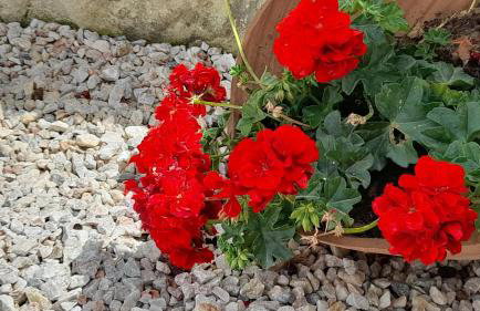 Georgioupoli Studios - Foto 57