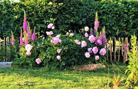 Ferienwohnung "Frieda" - Foto 37