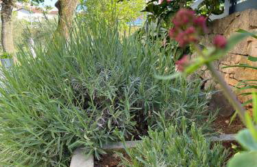 Apartments Sea Heaven - Photo 47