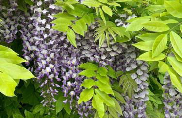 Stylish 4 Bed Home in Aylesbury, Buckinghamshire - Foto 43