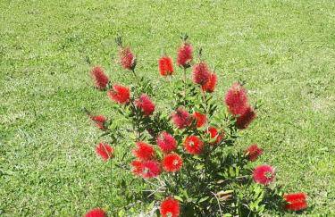 Gîte Ma Vie Là 3 étoiles, jacuzzi, animaux acceptés - Foto 54