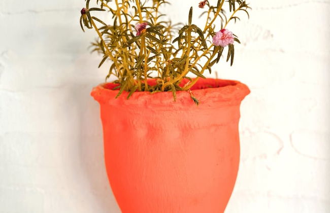 Tas Apart - Photo 46