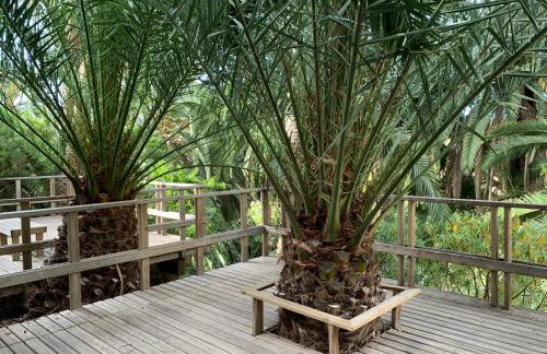 Apartamento Renovado "Hogar Las Vistas" - Foto 43