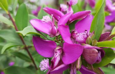 VALDEVAQUEROS HOUSE - Foto 47