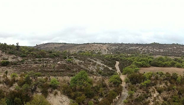 Armadillo Ghost Town Hiking Tour - Foto 4