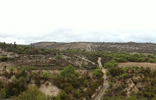 Trekking nella località fantasma di Armadillo - Foto 6