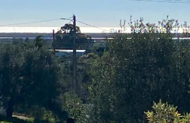 The Retreat - Ria Formosa Hamlet - Photo 30