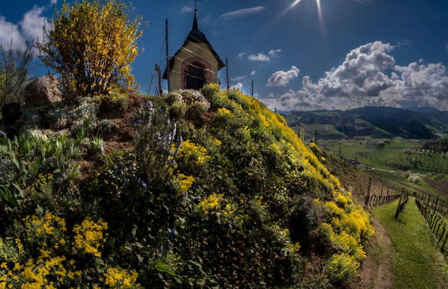 Apartment in Oberkirch - Foto 8