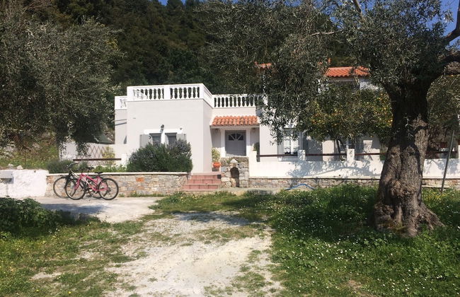 Villa Tillia - Foto 35