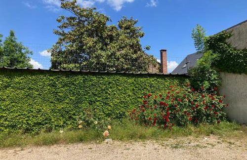 T2 Le Moderne • Netflix • Parking • Gare - Foto 11