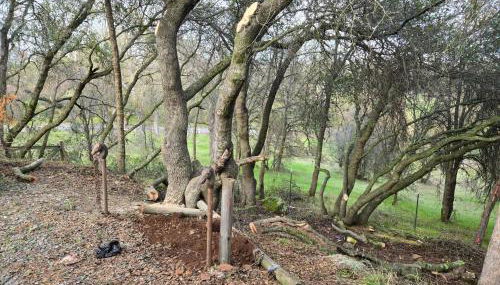 Small house - Foto 2