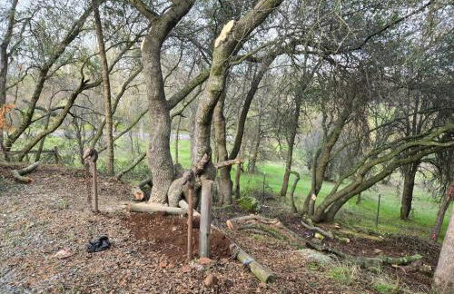 Small house - Foto 2