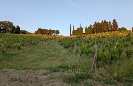 Agriturismo Amici Miei - Foto 34