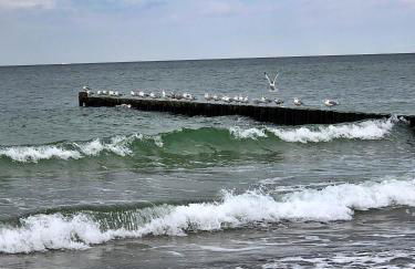 Küstenliebe Graal-Müritz - Foto 18