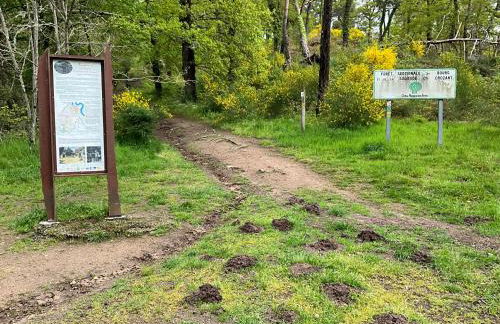 La petite vallée - Photo 30