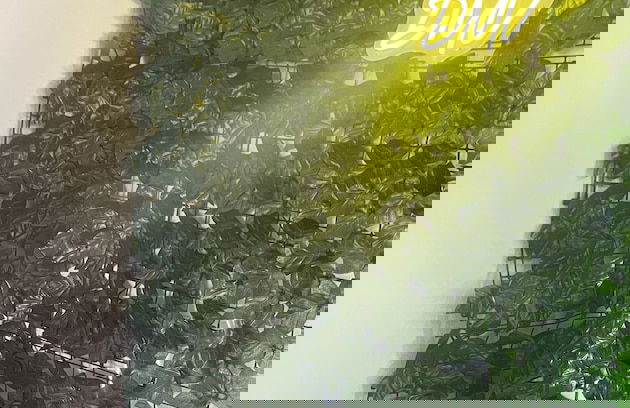 Capitol hide away - Foto 10