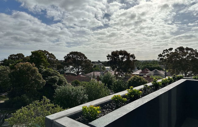 Samma Linden - Foto 35