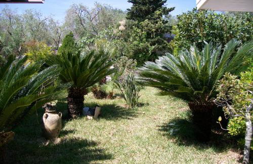 La Carcara - Foto 22