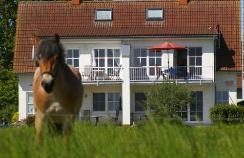 Ferienwohnung Boddenblick - Foto 9
