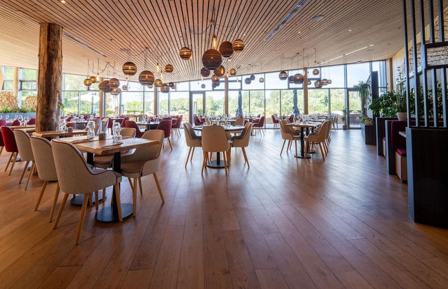 Enchanting Forest Escape - Foto 20